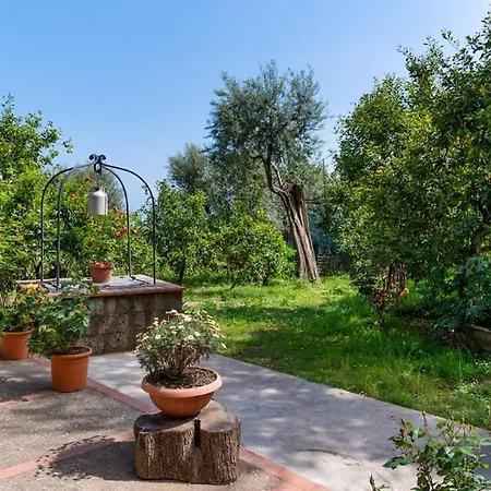 Sorrentovibes - Sea View Rooftop With Jacuzzi & Garden Semesterbostad