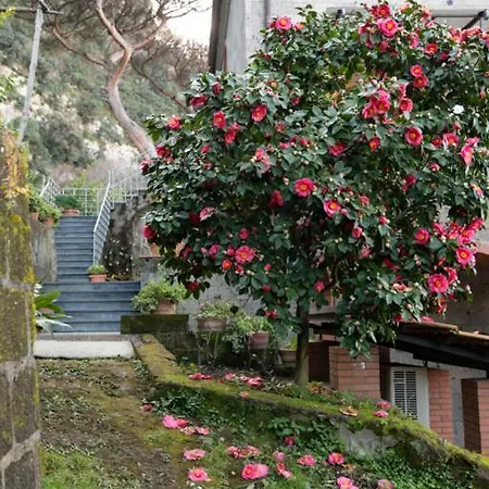 Sorrentovibes - Sea View Rooftop With Jacuzzi & Garden * Sorrento