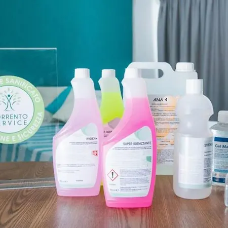 Semesterbostad Sorrentovibes - Sea View Rooftop With Jacuzzi & Garden Sorrento