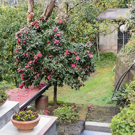 Ferienhaus Sorrentovibes - Sea View Rooftop With Jacuzzi & Garden *