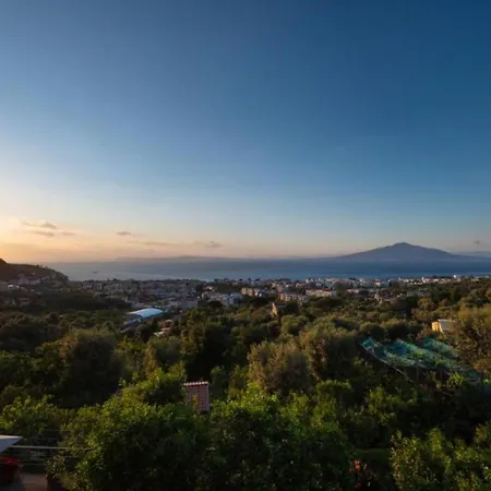 Sorrentovibes - Sea View Rooftop With Jacuzzi & Garden