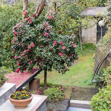 Sorrentovibes - Sea View Rooftop With Jacuzzi & Garden *