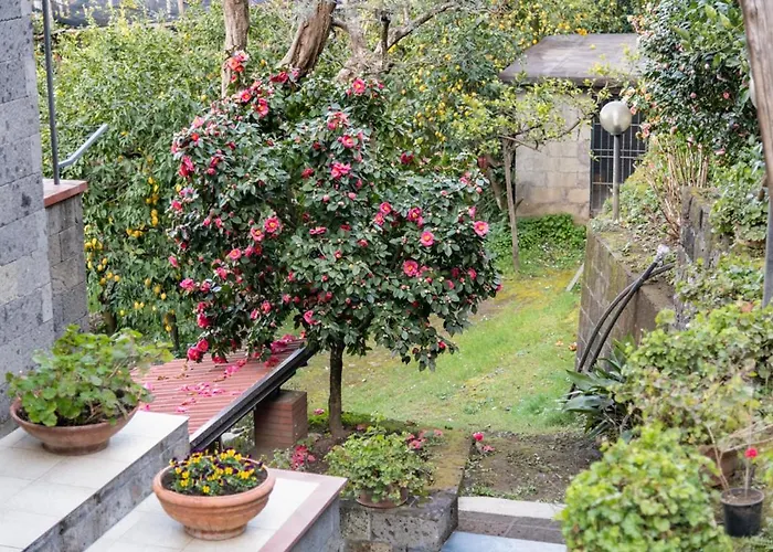 Holiday home Sorrentovibes - Sea View Rooftop With Jacuzzi & Garden *