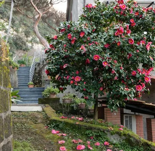 Sorrentovibes - Sea View Rooftop With Jacuzzi & Garden * Sorrento