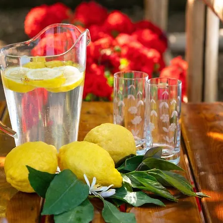 Vakantiehuis Sorrentovibes - Sea View Rooftop With Jacuzzi & Garden